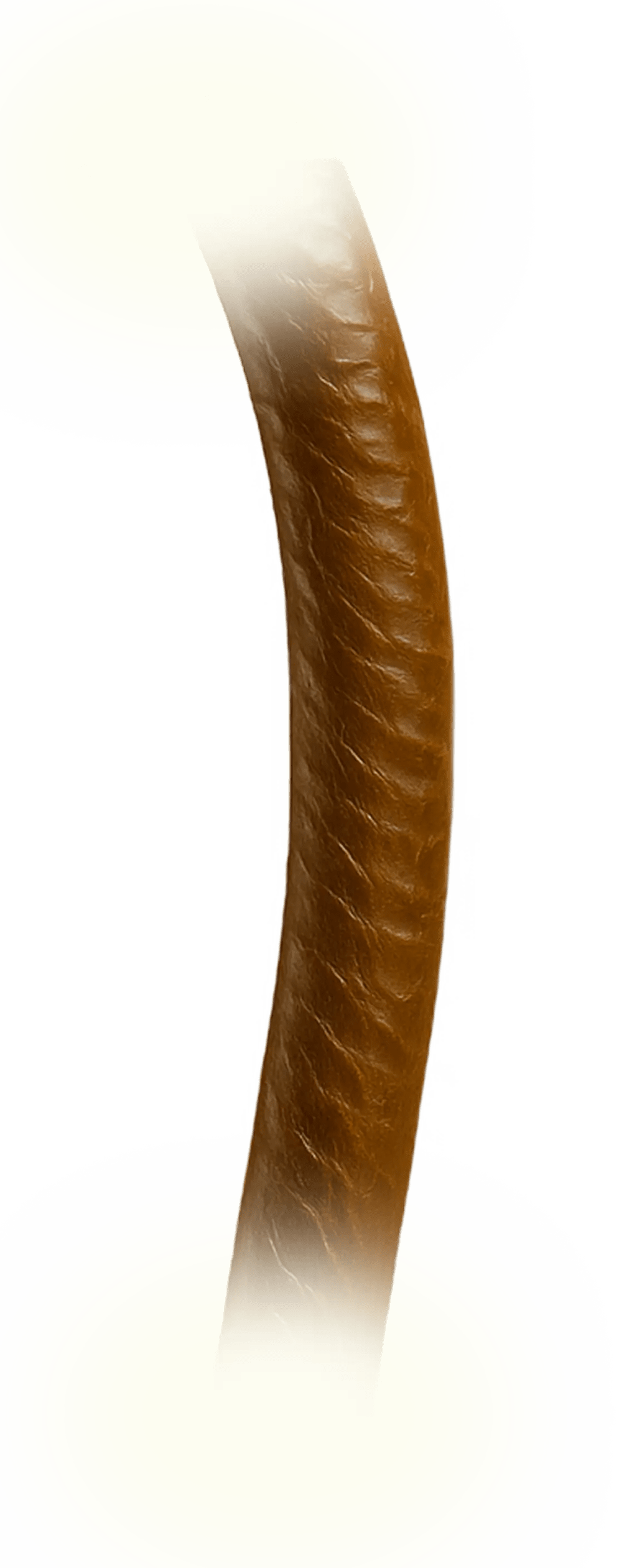 OIL